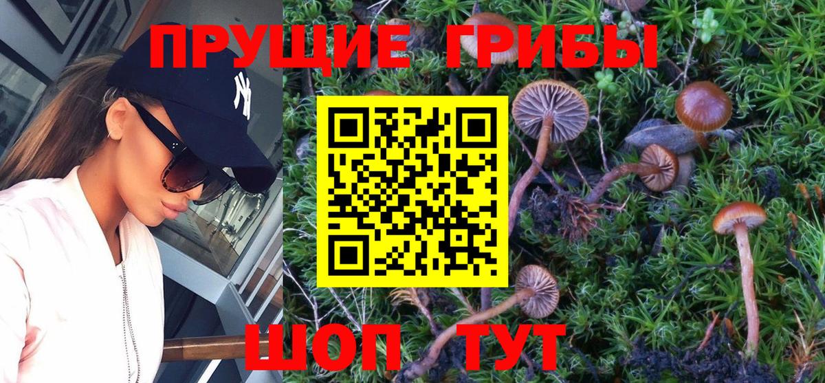 Псилоцибиновые грибы MAGIC MUSHROOMS Щёкино